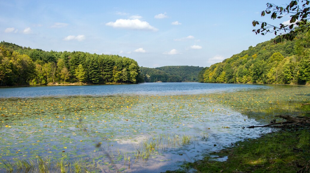 Reservoir in Beaver County Pennsylvania