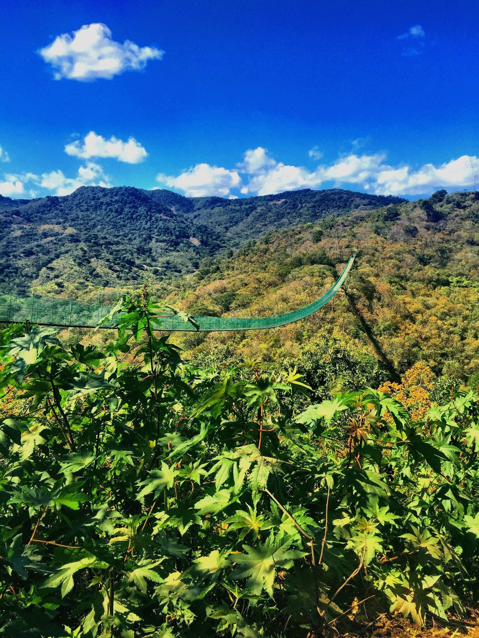 Mazamitla:😍Visit Mazamitla, a magical town, and explore a typical town deep in the Sierra Madre surrounded by oak and pine trees that shape its architecture. This red soil offers great views and a gastronomy you cannot miss. There are many outdoor activities from walking to the rivers to horseback riding and much more.  Great Eco Adventure into rural Mexico.

Part of the Sierra Madre known as Mexican  Switzerland, which began in North America, in the Rocky Mountains and ends south in Patagonia Argentina, across all of the country.

Arts and Crafts are produced and displayed on the main streets of this Magical town in Jalisco.  A must visit is the local market and artisans working with their magic hands.  Have your best day.