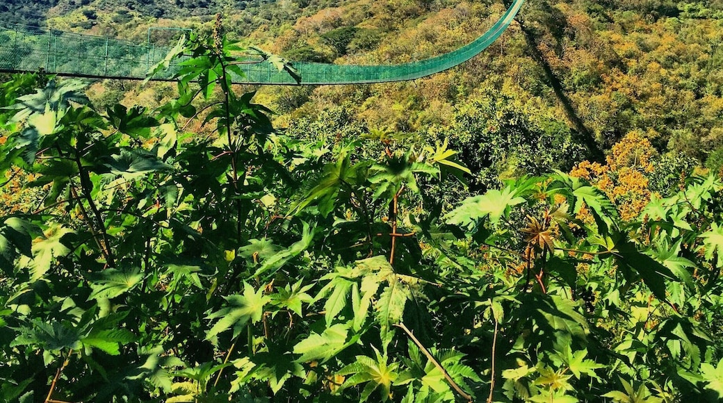 Mazamitla:😍Visit Mazamitla, a magical town, and explore a typical town deep in the Sierra Madre surrounded by oak and pine trees that shape its architecture. This red soil offers great views and a gastronomy you cannot miss. There are many outdoor activities from walking to the rivers to horseback riding and much more. Great Eco Adventure into rural Mexico.
Part of the Sierra Madre known as Mexican Switzerland, which began in North America, in the Rocky Mountains and ends south in Patagonia Argentina, across all of the country.
Arts and Crafts are produced and displayed on the main streets of this Magical town in Jalisco. A must visit is the local market and artisans working with their magic hands. Have your best day.