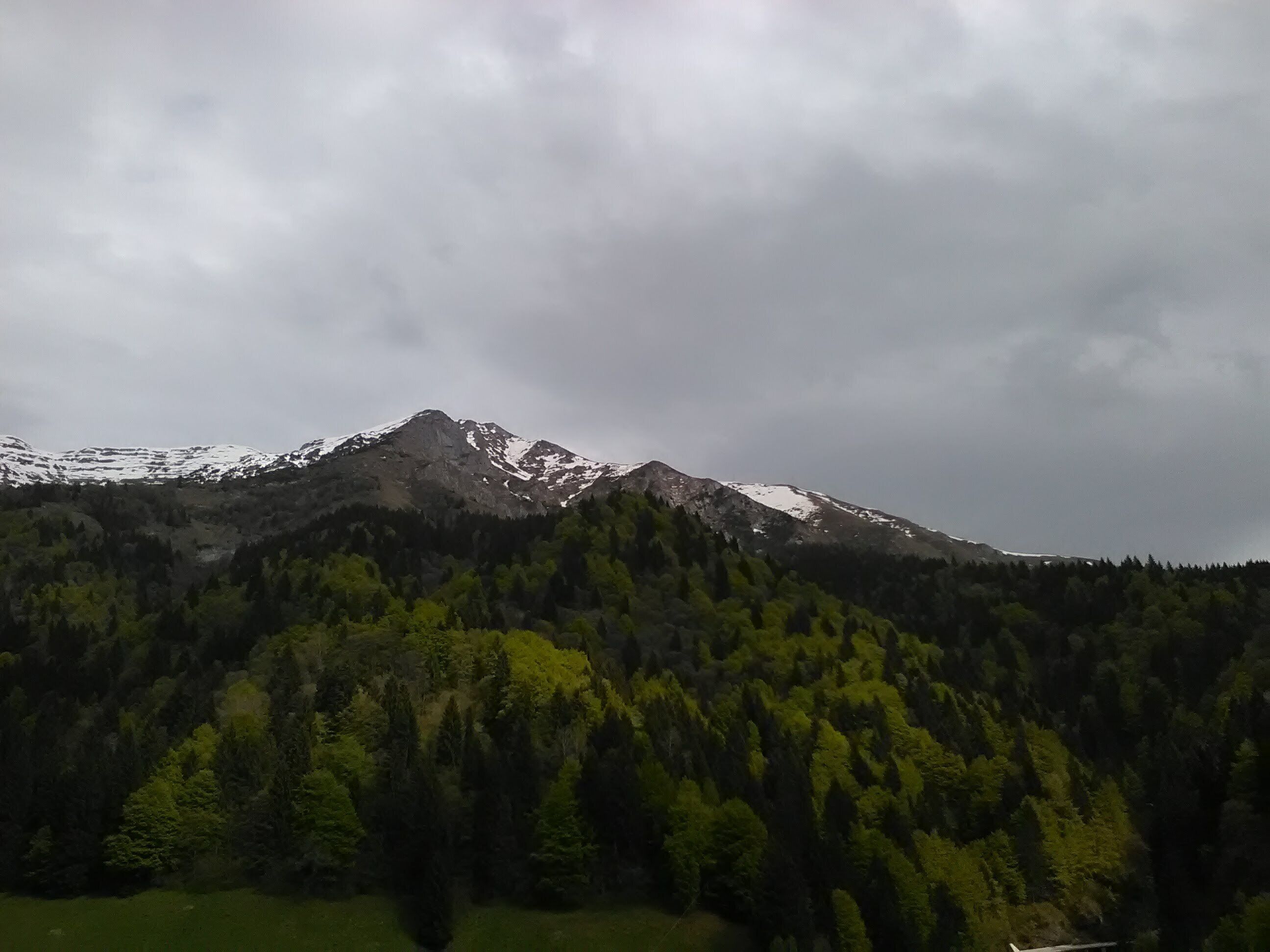 parco regionale delle Orobie Bergamasche (Q3895555)