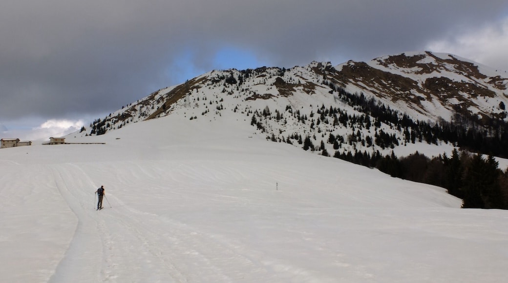 Pian del bene - Monte Ario