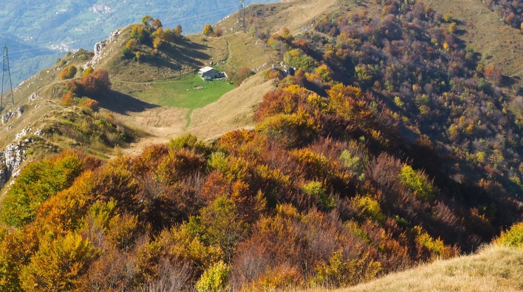 Scendendo verso il rifugio Nasego