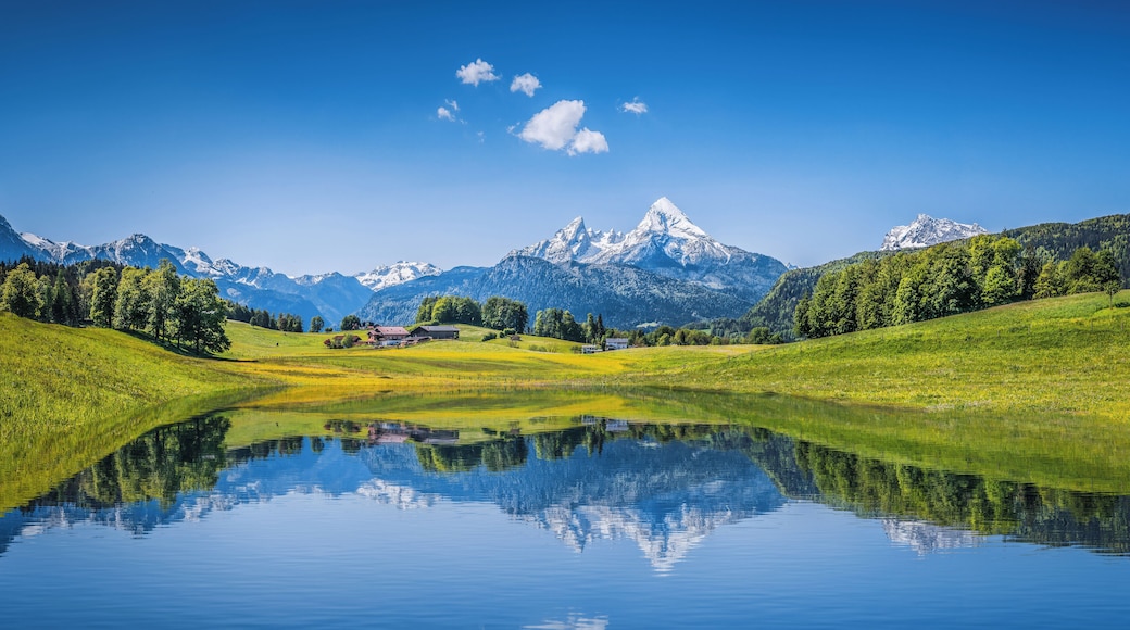 Panoramic view of idyllic summer landscape in the Alps with clear mountain lake and fresh green mountain pastures in the background