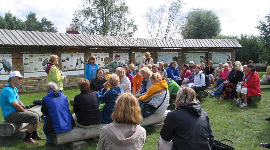 Haabersti as well as a small group of people