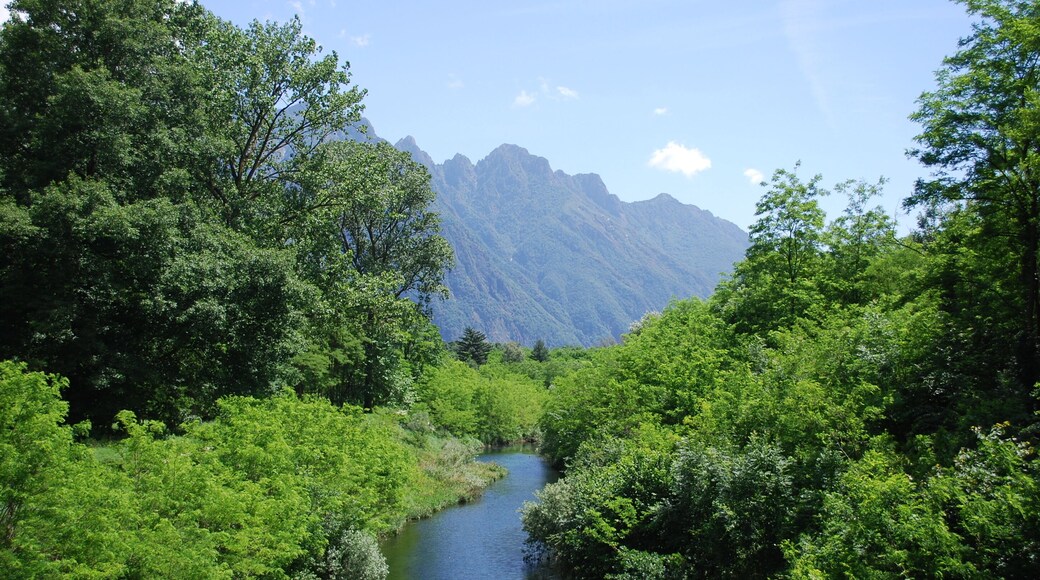 Fiume Toce (Q47316717)