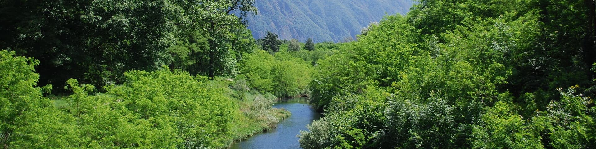 Fiume Toce (Q47316717)