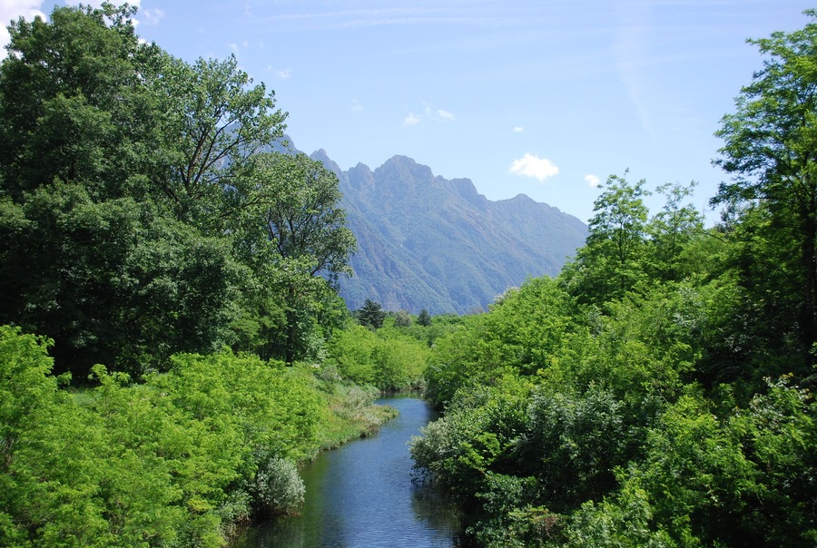 Fiume Toce (Q47316717)