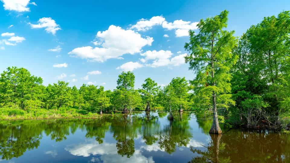 Sheldon Lake reservoir, Houston, Texas