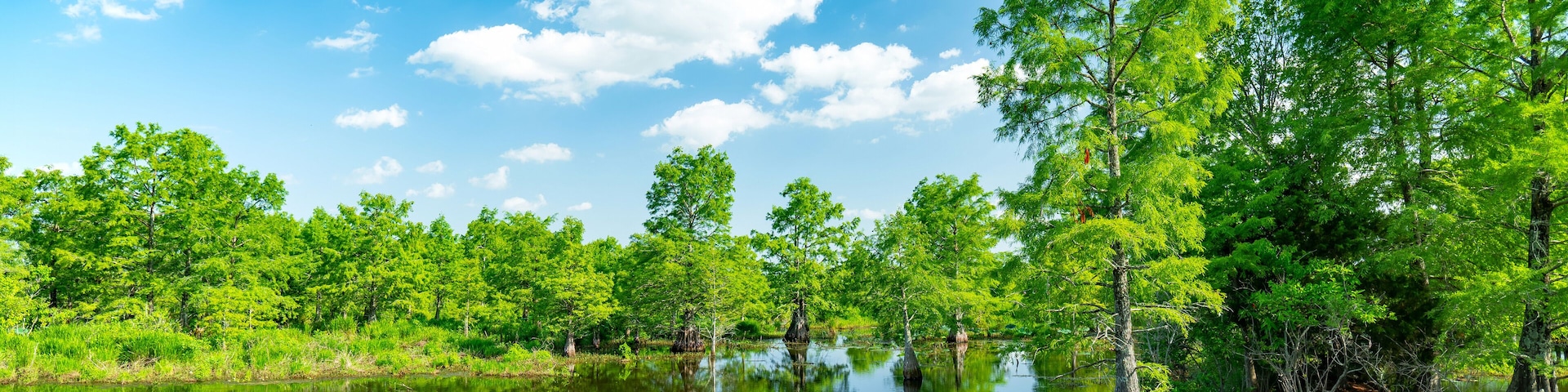 Sheldon Lake reservoir, Houston, Texas