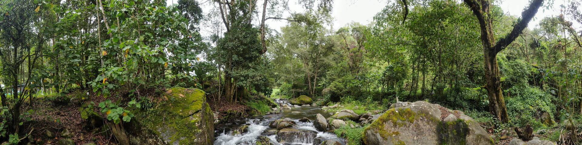 Savegre pristine river with rocks in the forest in Costa Rica