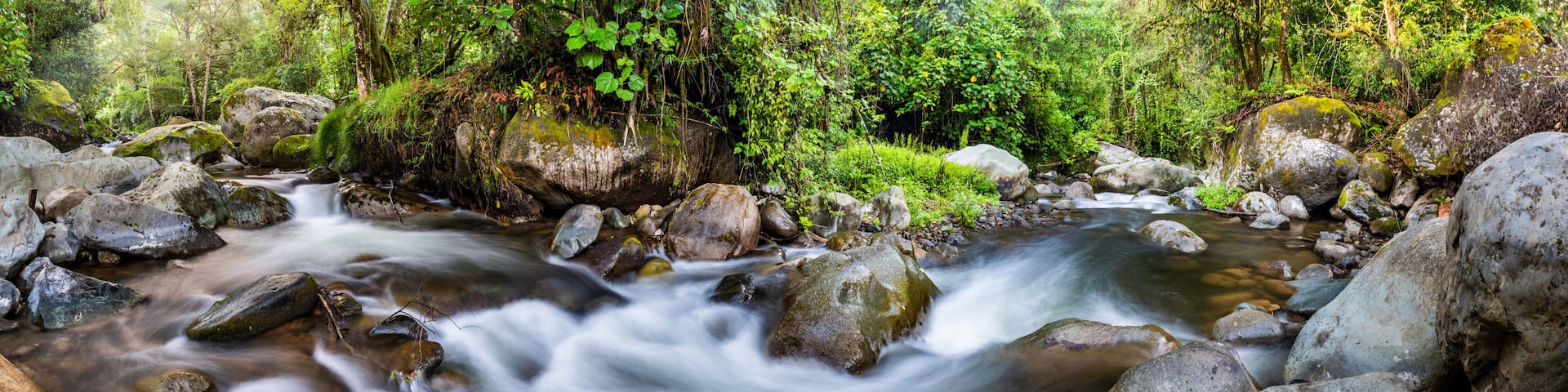 Savegre River (Rio Savegre), San Gerardo de Dota