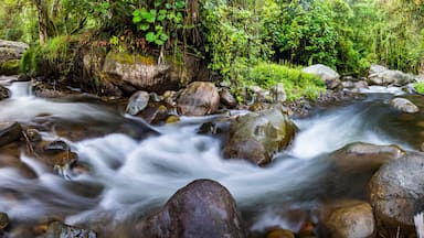 Savegre River (Rio Savegre), San Gerardo de Dota