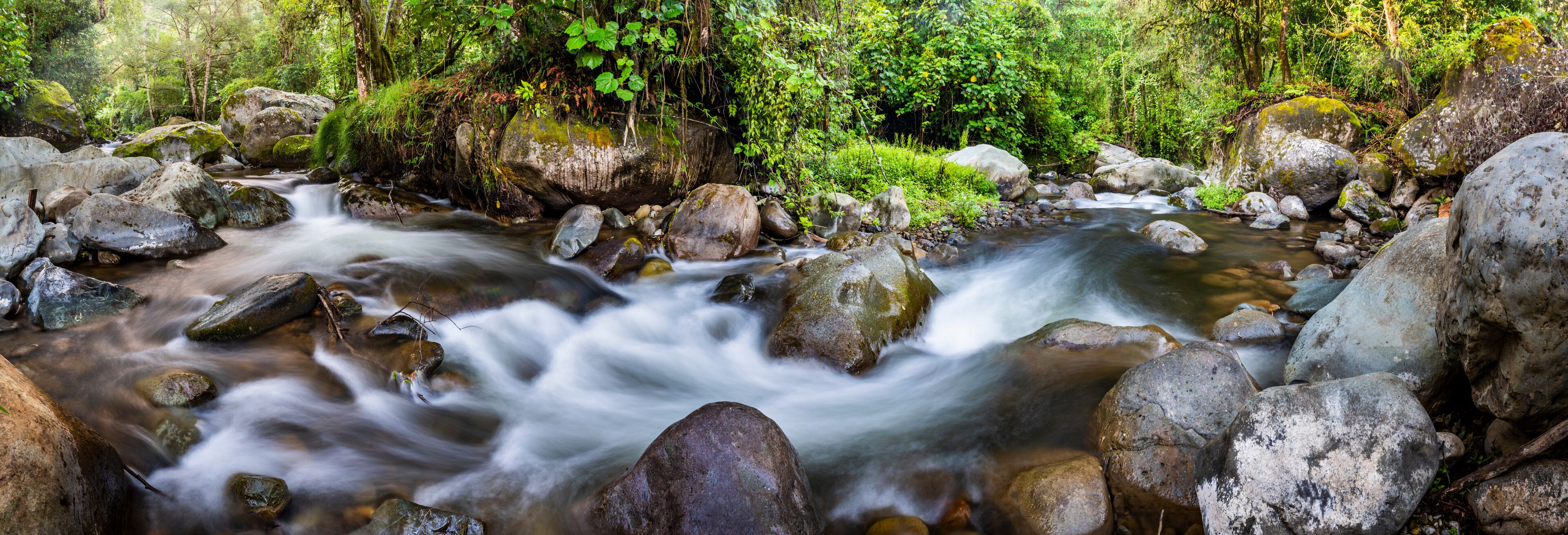 A flowing river with large rocks and dense green foliage.