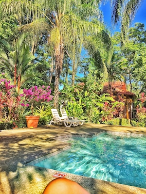 Eco friendly lodge that I stayed in Costa Rica. It's a beautiful place but it's a little far away from everything if you don't have a car. With a car it's 45 minutes away from Manuel Antonio Beach. Breakfast staff is friendly but owner was a little too grumpy for my taste.