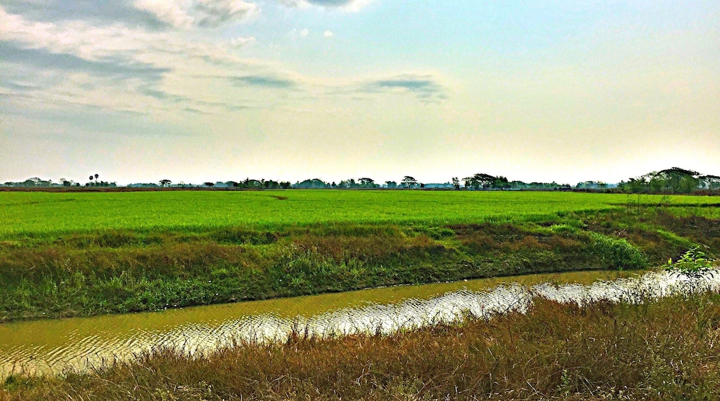 The green fields , the views from my way as the moment .
