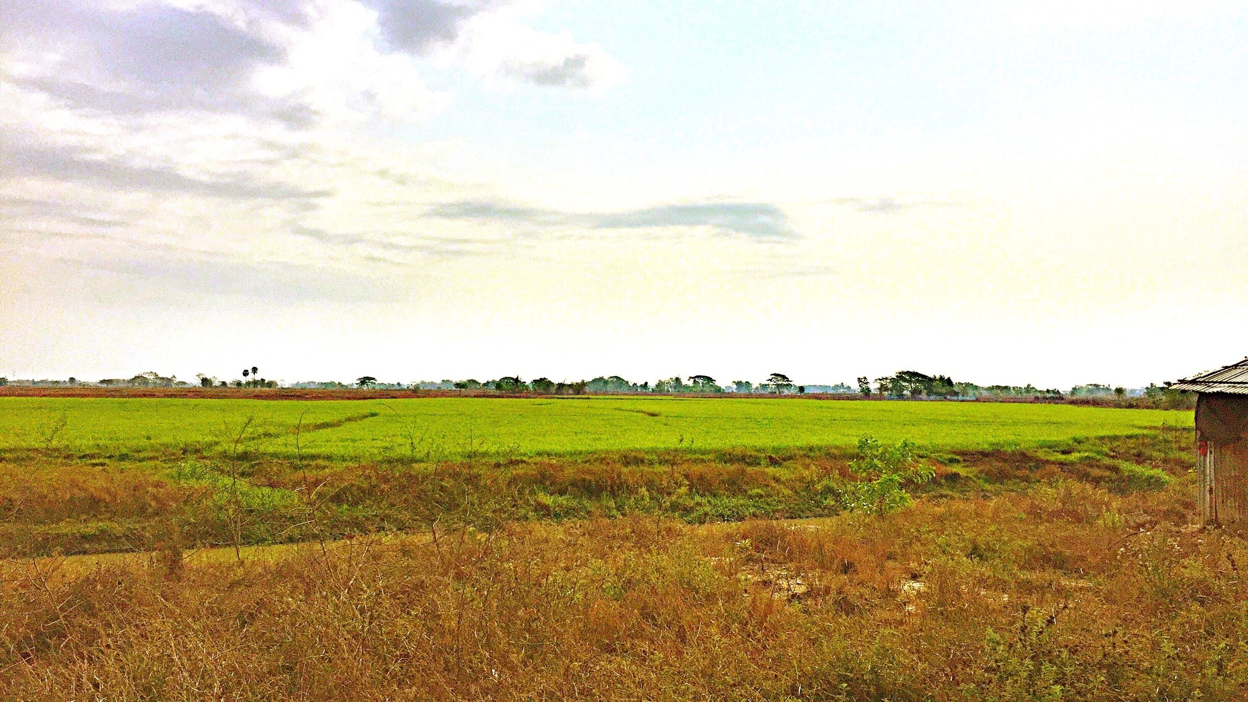 The green fields , the views from my way as the moment . 