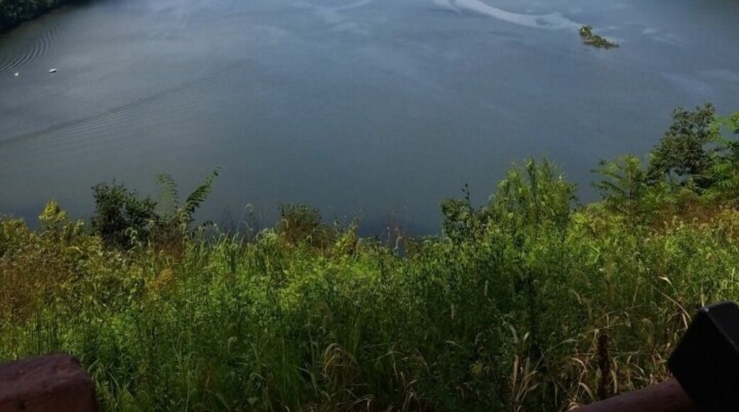 Photos just don't do it justice!