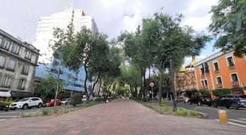 Colonia Roma