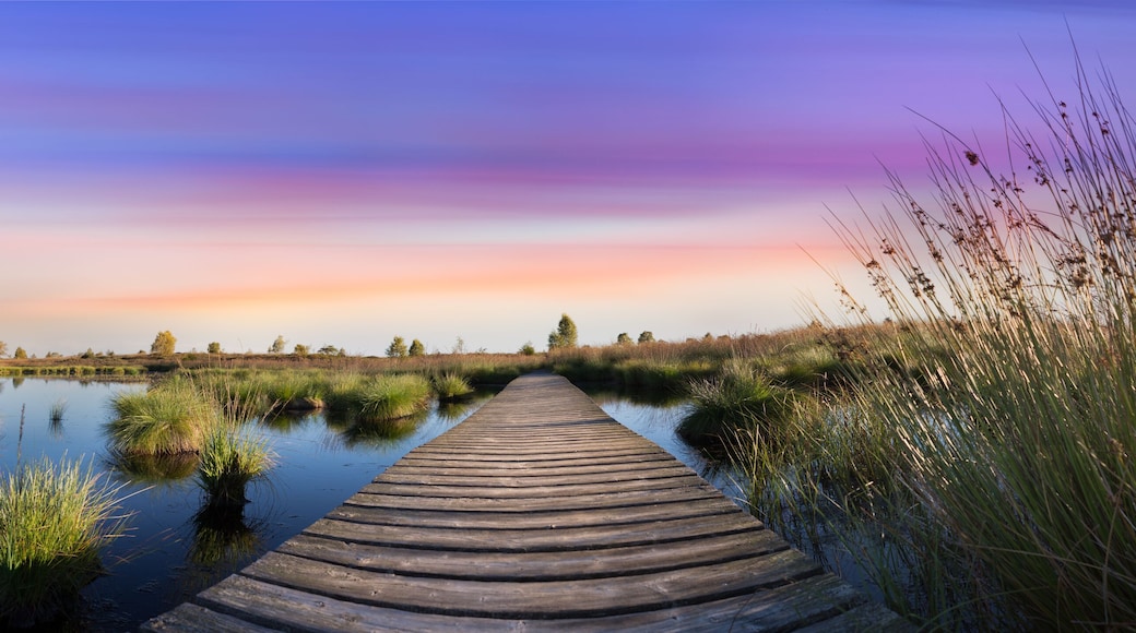 Sunset over the lake in high fens - belgium; Shutterstock ID 477490423