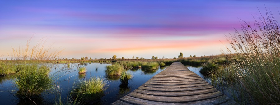 Sunset over the lake in high fens - belgium; Shutterstock ID 477490423