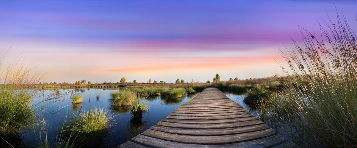 A wooden boardwalk leading through a marshy area with tall grasses and a sunset sky.