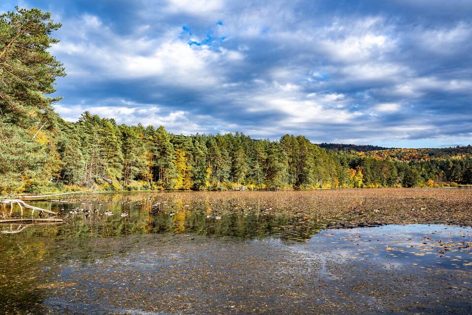 A lake surrounded by autumn-colored trees and a cloudy sky.