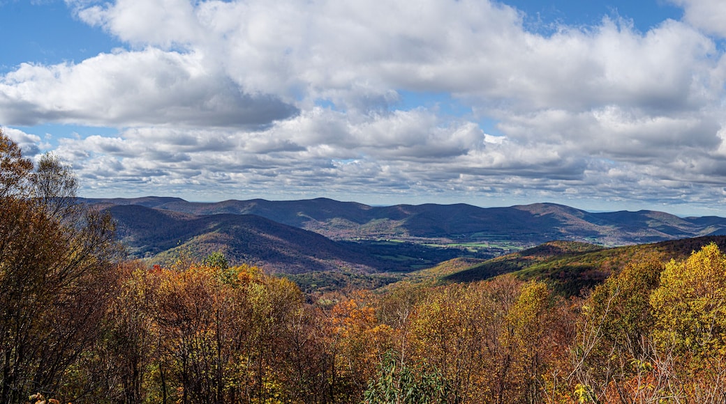 October Mountain State Forest