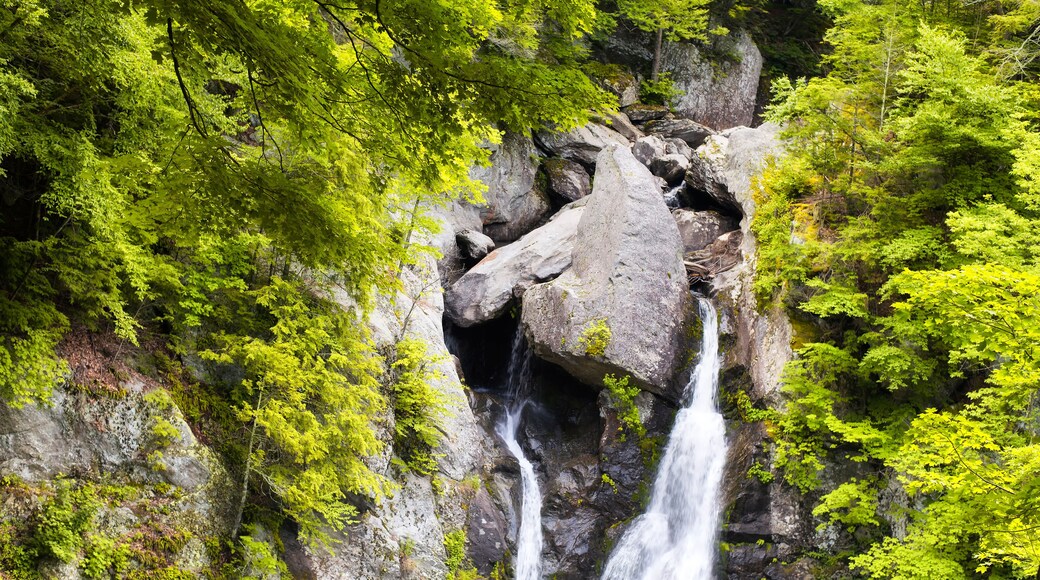 Chutes d'eau de Copake