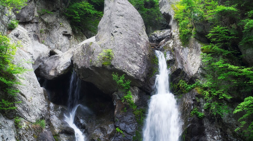 Chutes d'eau de Copake