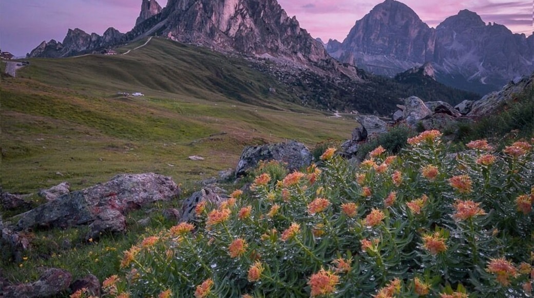 Passo di Giau - Dolomites
#trovember #passogiau