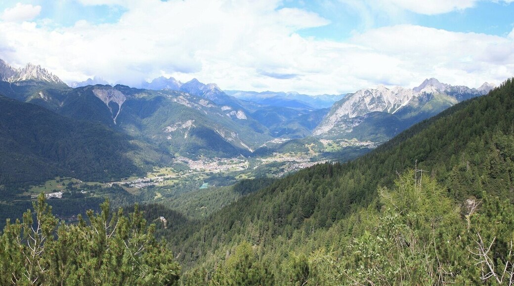 Domegge di Cadore 07/2010