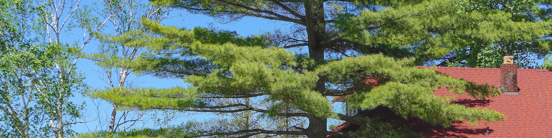 Inlet, New York: One of the Arrowhead Park Cottages on Fourth Lake in the Adirondack Park, formerly part of the historic Arrowhead Hotel.