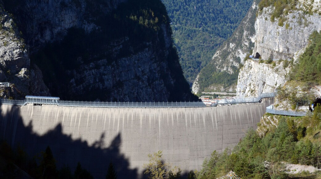 ลอนกาโรเน