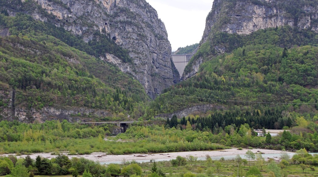 ลอนกาโรเน