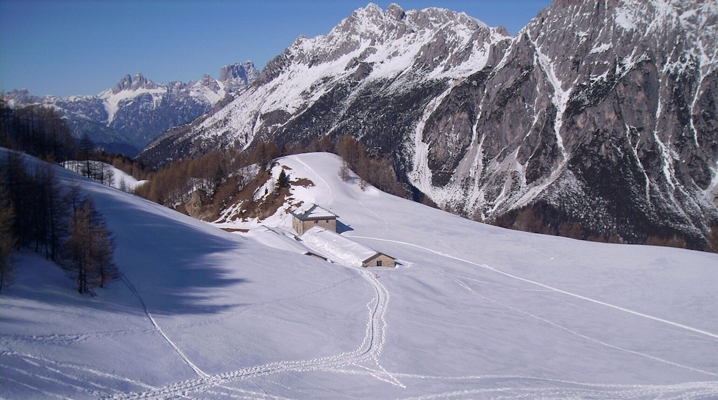 Malga Doana,Vigo di Cadore, Belluno,Italy ;