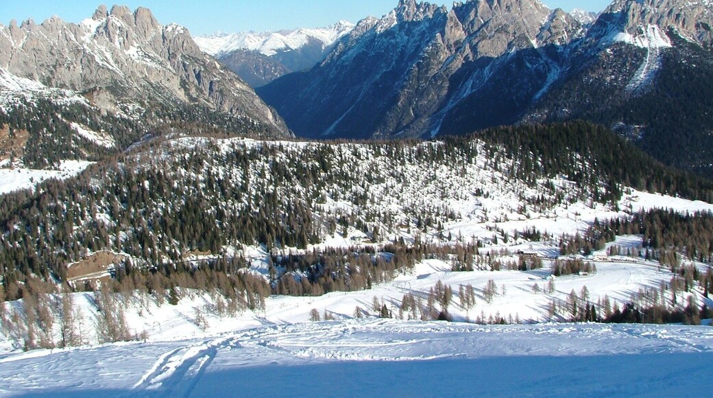 Piani di Razzo, Vigo di Cadore, Belluno, Dolomites, Veneto, Italy