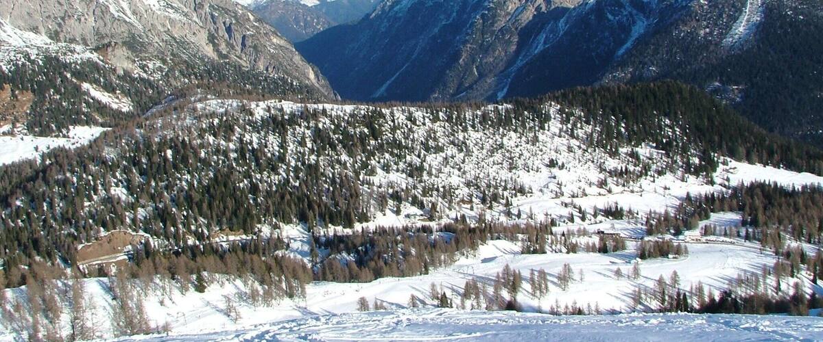 A snow-covered mountain range with a valley and forested slopes.