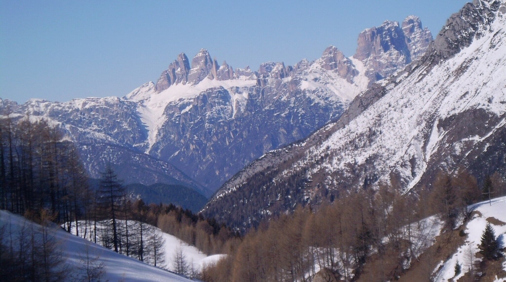 Tre Cime di Lavaredo seen from Malga Doana,Vigo di Cadore, Belluno,Italy ;