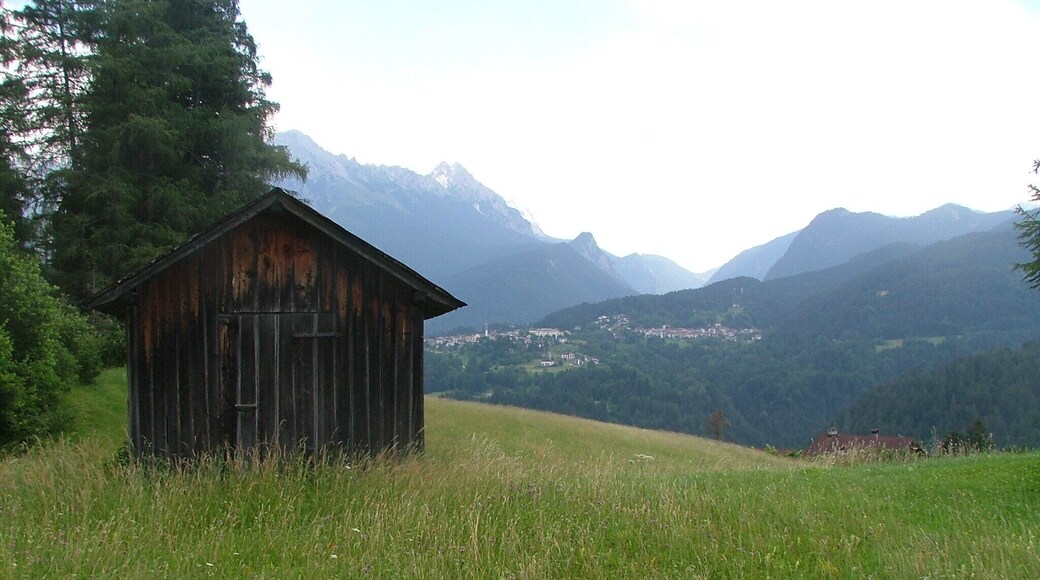 Fields in Domegge di Cadore, Province of Belluno,Dolomites Veneto, Italy