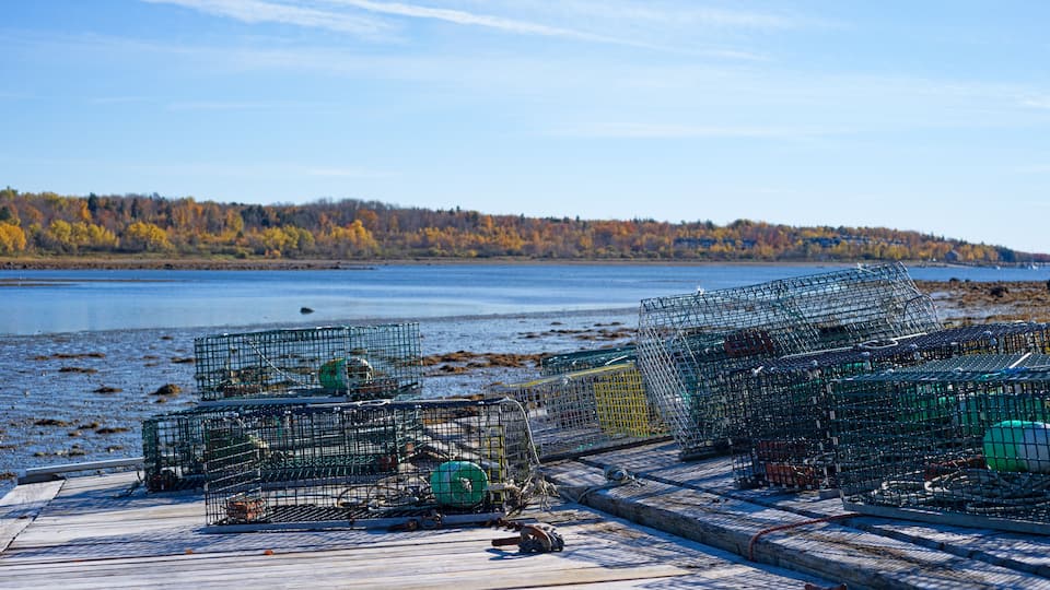 A wooden dock with lobster traps by a calm lake, surrounded by autumn-colored trees.