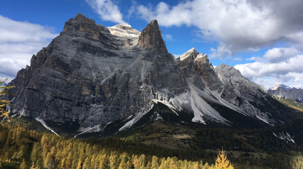 From: Vodo di Cadore,Veneto, Italy. It's like the Alps had come to a pose! :)