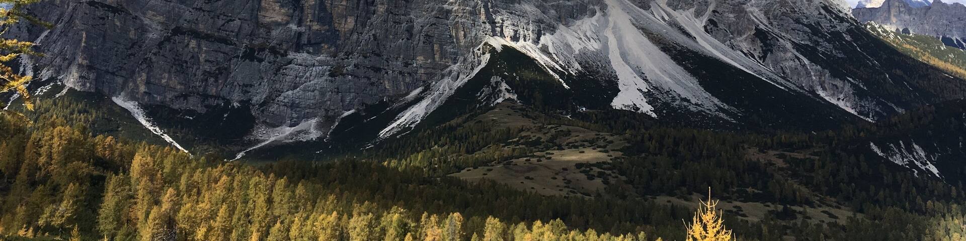 From: Vodo di Cadore,Veneto, Italy. It's like the Alps had come to a pose! :)