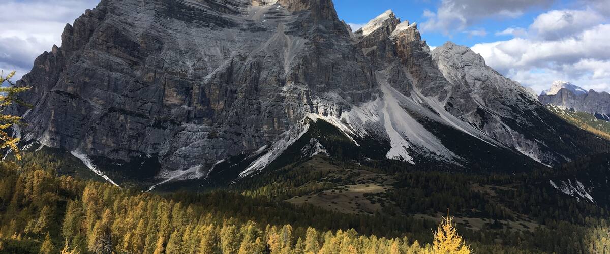A mountain range with sharp peaks, a clear sky, and a forested valley.