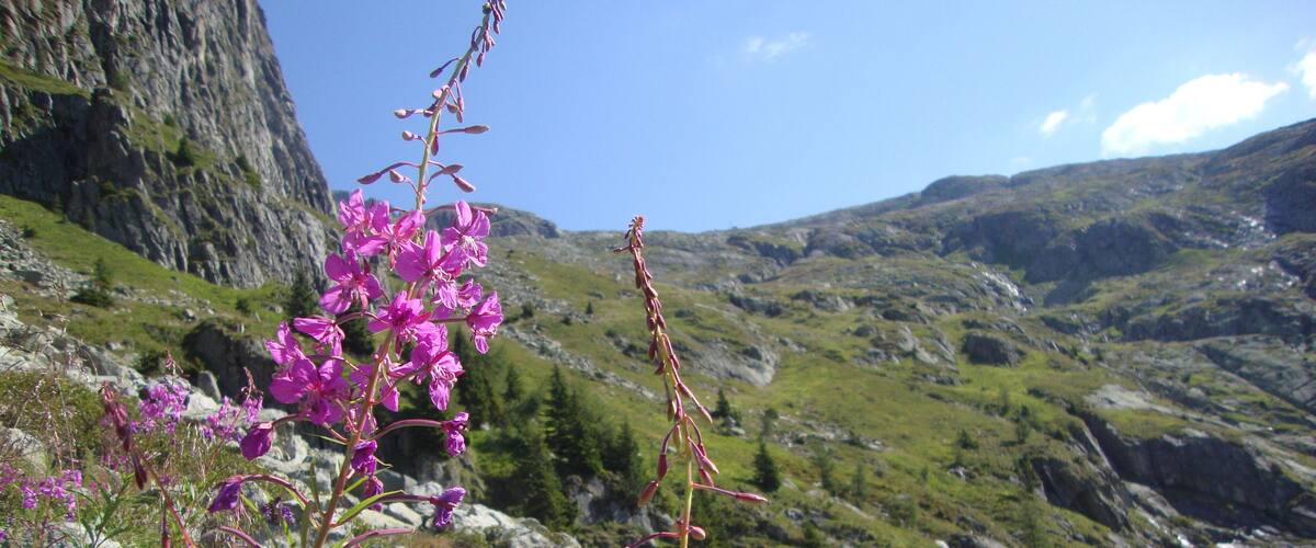 vallone della cima per Monika