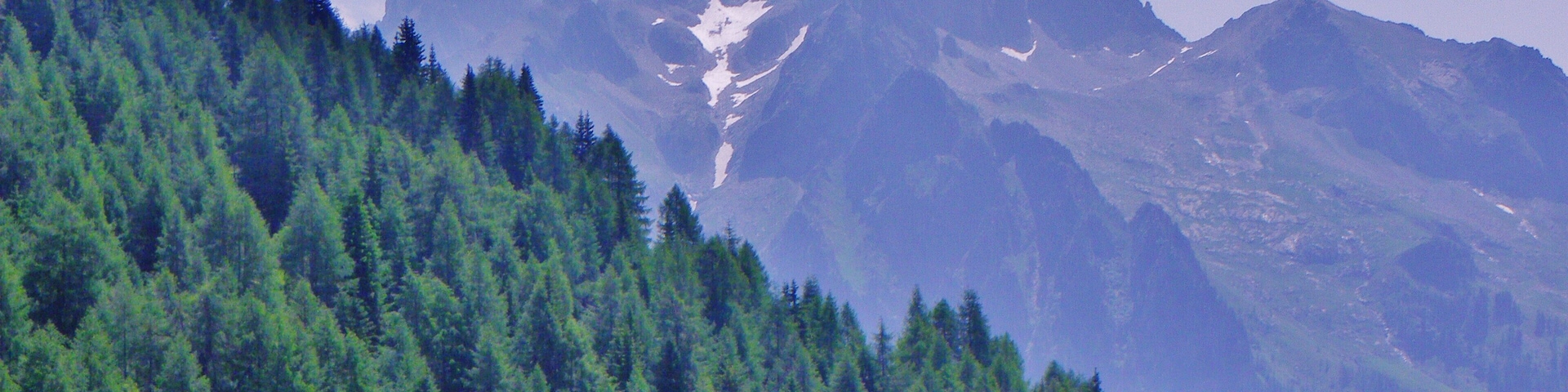 Cima d'Asta m 2847 slm vista dal Passo 5 Croci (TN)