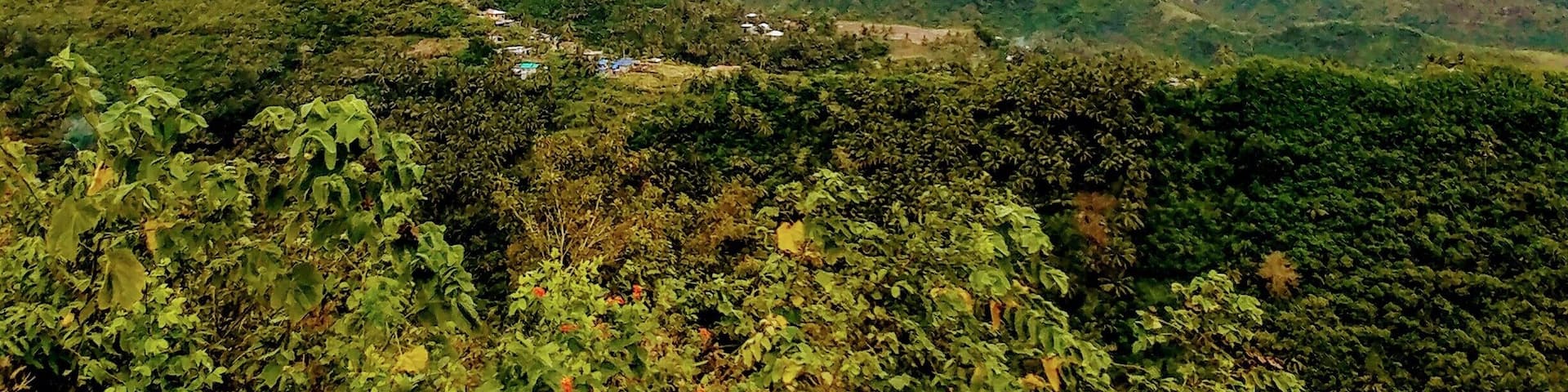 Drive for a few minutes on a small road and you are rewarded with a beautiful view. #Green