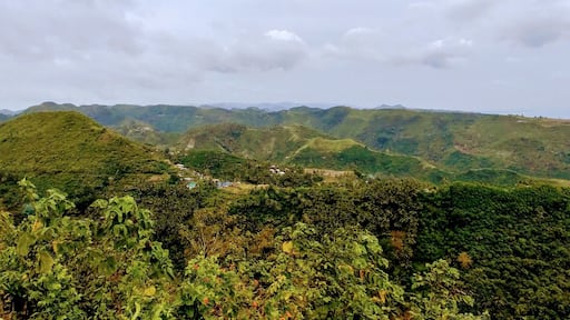 Drive for a few minutes on a small road and you are rewarded with a beautiful view. #Green