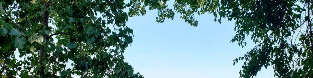 Walking up to the beach after a long hike is the best feeling, especially when you find out it is lake Erie! What a refreshing and exhilarating end to a hike.
#adventure