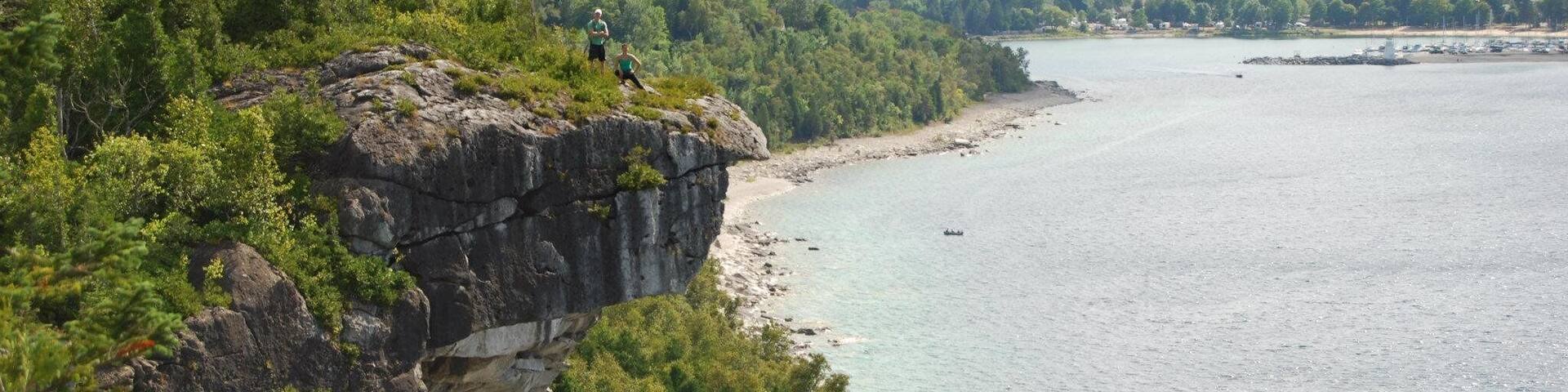 A coastal cliff with dense greenery and a view of the sea.
