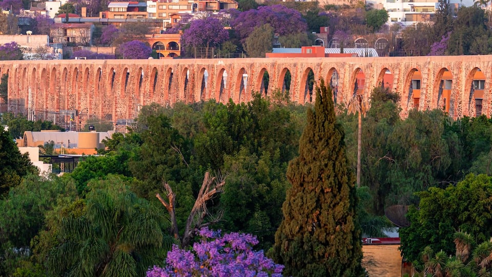 A long stone aqueduct with arches, surrounded by trees and buildings.